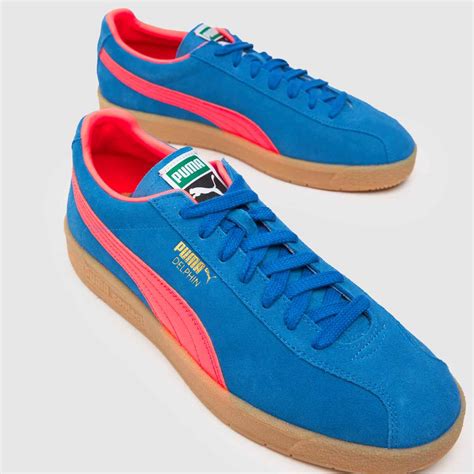 Trainers .